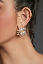 Curveins Sparkling Zircon Snowflake Earrings
